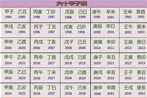 2012年五行属什么|2012年，龙年五行属什么？